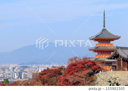 京都　秋の清水寺　紅葉と三重塔 (京都府京都市東山区) 133981505
