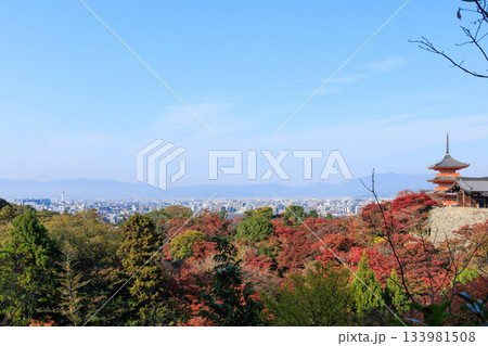 京都　秋の清水寺　紅葉と三重塔 (京都府京都市東山区) 133981508