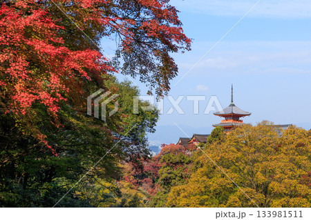 京都　秋の清水寺　紅葉と三重塔 (京都府京都市東山区) 133981511