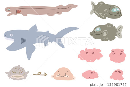 シンプルにデフォルメしたメンダコやサメなどの深海生物イラストセット 133981755