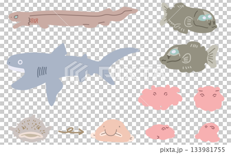 シンプルにデフォルメしたメンダコやサメなどの深海生物イラストセット 133981755