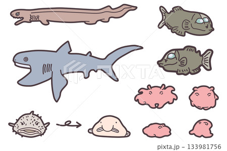 シンプルにデフォルメしたメンダコやサメなどの深海生物イラストセット 133981756