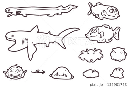 シンプルにデフォルメしたメンダコやサメなどの深海生物イラストセット 133981758