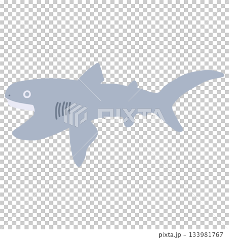 シンプルにデフォルメした深海鮫のメガマウスのイラスト シンプルにデフォルメした深海鮫のメガマウスのイラスト 133981767