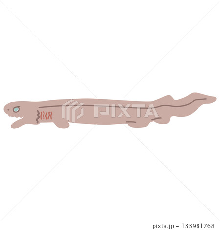 シンプルにデフォルメした深海鮫のラブカのイラスト 133981768