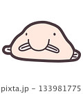 シンプルにデフォルメしたニュウドウカジカ（ブロブフィッシュ）のイラスト 133981775
