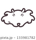 シンプルにデフォルメしたかわいいメンダコのイラスト 133981782