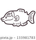 シンプルにデフォルメしたかわいいデメニギスのイラスト 133981783