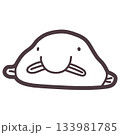 シンプルにデフォルメしたニュウドウカジカ（ブロブフィッシュ）のイラスト 133981785