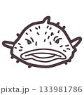 シンプルにデフォルメしたニュウドウカジカ（ブロブフィッシュ）のイラスト 133981786