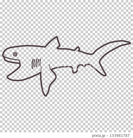 巨口鯊（一種深海鯊魚）的簡略插圖 133981787