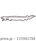 シンプルにデフォルメした深海鮫のラブカのイラスト 133981788