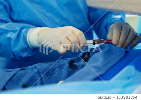 Surgical interventions on blood vessels. Vascular surgery. Modern operating room. Prevention of blood clots. Removal of blood clots. Concept of health care. Surgical interventions on blood vessels. Vascular surgery. Modern operating room. Prevention of blood clots. Removal of blood clots. Concept of health care. 133981854