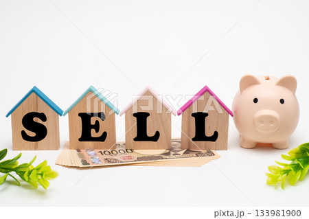 豚の貯金箱と一万円札と家形のプレートで売家のイメージ 133981900