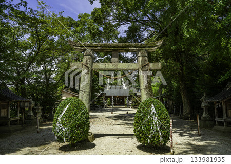 出水麓　諏訪神社　鳥居　鹿児島県出水市 133981935