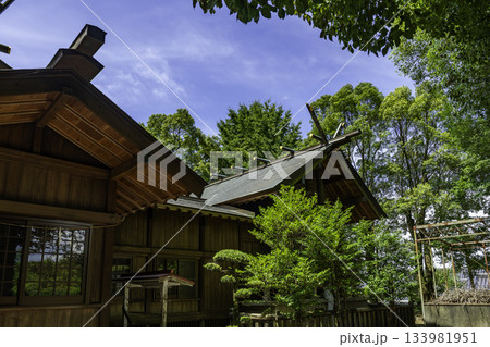 出水麓　諏訪神社　本殿　鹿児島県出水市 133981951