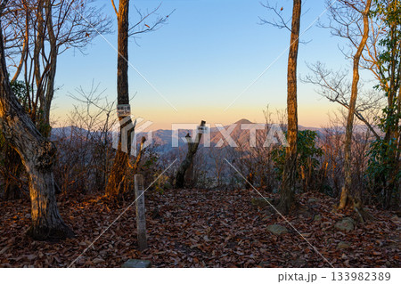 宰相ヶ岳山頂 133982389