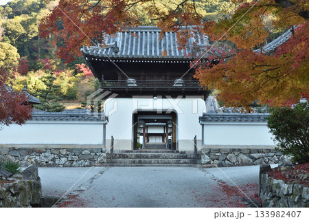 興聖寺琴坂　山門とモミジ(京都府宇治市) 133982407
