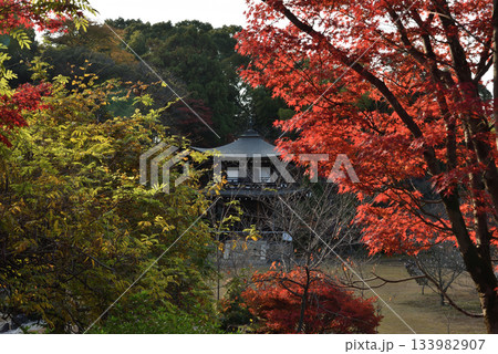 秋の勧修寺 観音堂とモミジ(京都市山科区) 秋の勧修寺 観音堂とモミジ(京都市山科区) 133982907