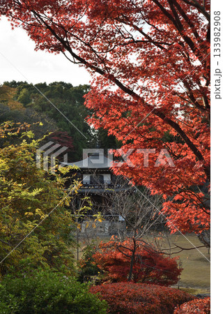 秋の勧修寺 観音堂とモミジ(京都市山科区) 秋の勧修寺 観音堂とモミジ(京都市山科区) 133982908