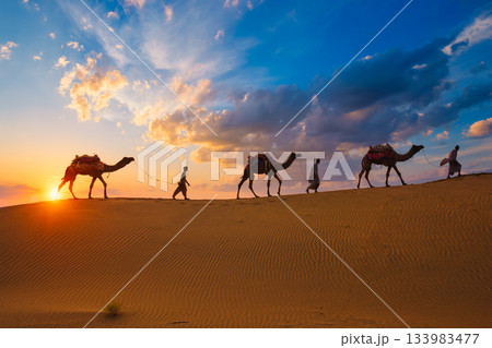 Indian cameleers camel drivers camel silhouettes in dunes on sunset. Jaisalmer, Rajasthan, India Indian cameleers camel drivers camel silhouettes in dunes on sunset. Jaisalmer, Rajasthan, India 133983477