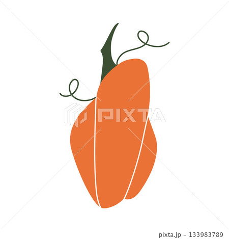 Vibrant orange pumpkin with bold green stem and soft vine curls. Cheerful fall vector ideal for stickers, greeting cards, branding, kids design. Vector flat illustration. 133983789
