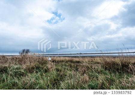 秋風に揺れる野付半島の原野と淡い空 秋風に揺れる野付半島の原野と淡い空 133983792