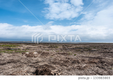 北海道野付半島、秋の空と広がる大地が織りなす情景 北海道野付半島、秋の空と広がる大地が織りなす情景 133983803