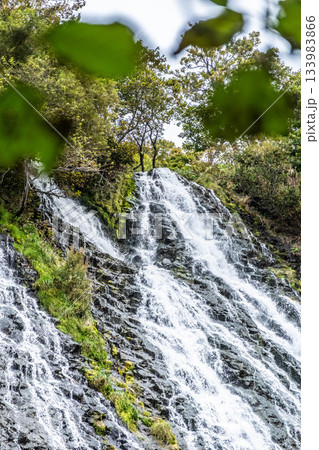 北海道 知床 オシンコシンの滝 秋の哀愁漂う水景 北海道 知床 オシンコシンの滝 秋の哀愁漂う水景 133983866