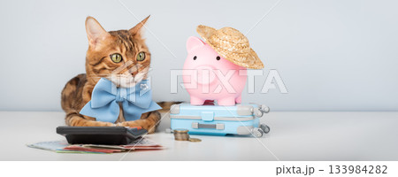 Bengal cat with a calculator and a piggy bank Bengal cat with a calculator and a piggy bank 133984282