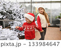 Children choose a Christmas tree in a shop 133984647