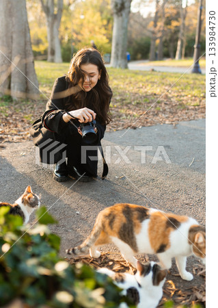 Young woman photographing stray cats in a sunny park, kneeling on the ground with a camera while animals gather around her. Warm natural light, candid outdoor moment with pets and wildlife. 133984730