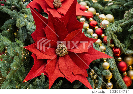 Bright red poinsettia flower placed on christmas tree with fir branches and ornaments. Classic symbol of winter holidays and festive decoration. Bright red poinsettia flower placed on christmas tree with fir branches and ornaments. Classic symbol of winter holidays and festive decoration. 133984754