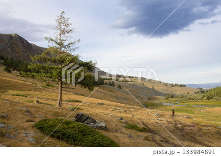Altai Tavan Bogd National Park landscape, Mongolia Altai Tavan Bogd National Park landscape, Mongolia 133984891
