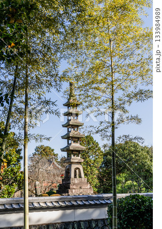 秋の虎渓山の風景 133984989