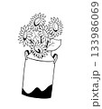 Sunflowers in milk jug on white background, hand drawn vector illustration 133986069