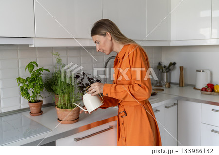 Dedicated woman watering potted kitchen herbs with can, miniature garden care with basil and dill Dedicated woman watering potted kitchen herbs with can, miniature garden care with basil and dill 133986132