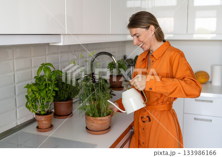 Happy woman caretaker hydrate indoor herb pots with dill and basil, nurturing small scale greenery 133986166