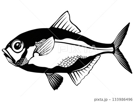 高級魚キンメダイの白黒切り絵イラスト 133986496