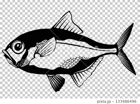 高級魚キンメダイの白黒切り絵イラスト 133986496
