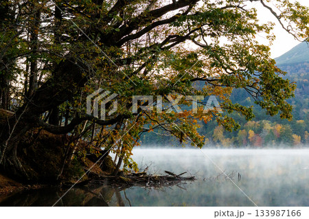 オンネトーの紅葉 133987166