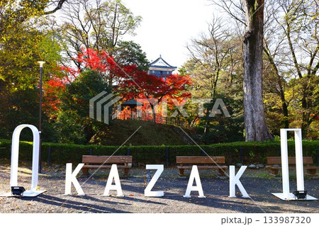 岡崎のロゴと岡崎城の秋の風景 133987320