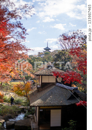 紅葉に包まれた三渓園 紅葉に包まれた三渓園 133987465