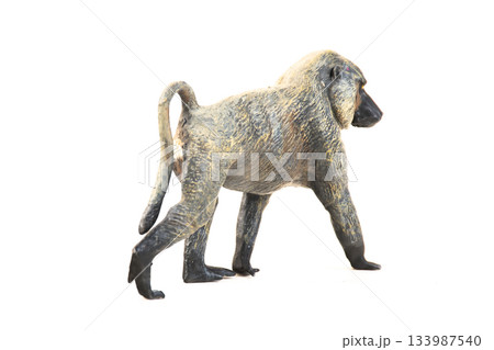 baboon animal on isolated background 133987540