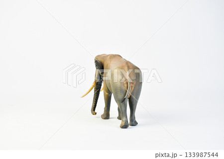 Stegodon animal on isolated background 133987544