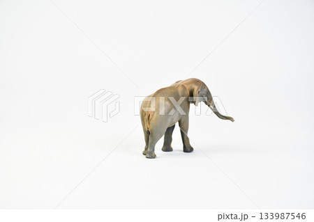 Stegodon animal on isolated background Stegodon animal on isolated background 133987546