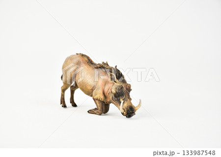 boar animal on isolated background boar animal on isolated background 133987548