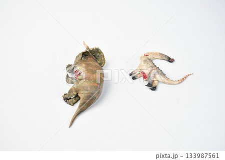 Dinosaur remains animal on isolated background 133987561