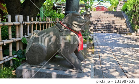 亀岡八幡宮狛犬 133987639