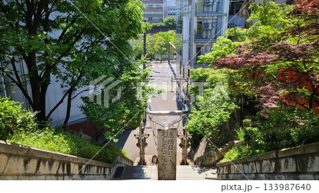 亀岡八幡宮階段 亀岡八幡宮階段 133987640